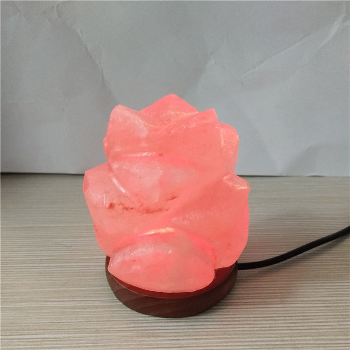 Himalayan Saltkristall-Sphärenlampe mit farbwechselnder LED und natürlicher Holzbasis