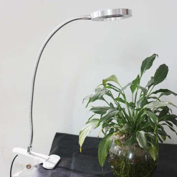 Kreative einfache USB-Hosenknopf LED-Lese-Clip-Schreibtischlampe