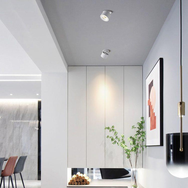 Verstellbare Zylinder Eingebaute LED Deckenlampe