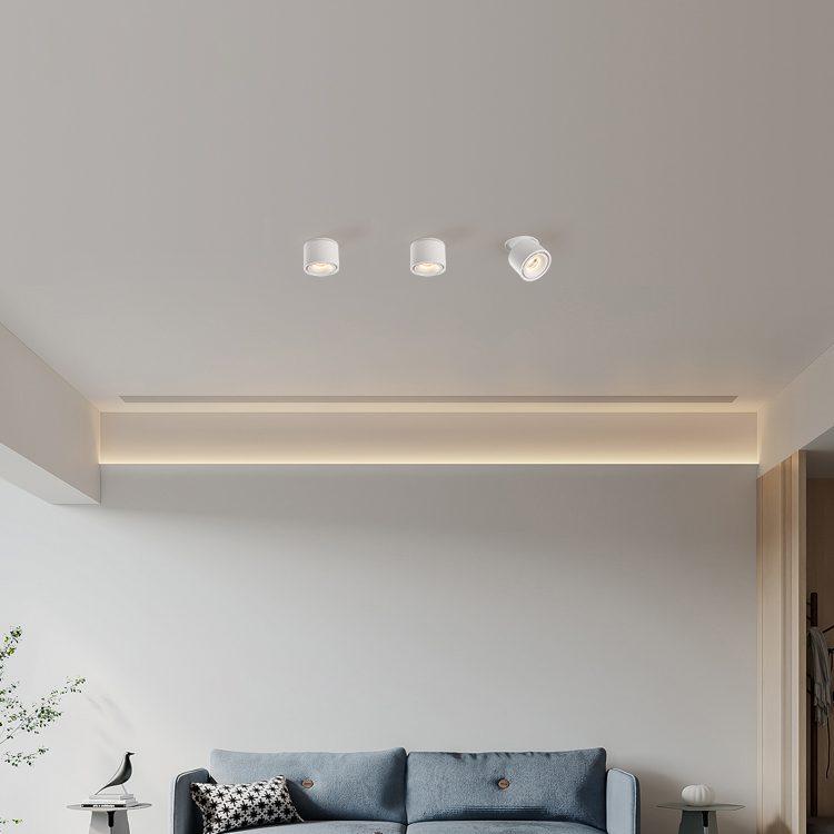 Verstellbare Zylinder Eingebaute LED Deckenlampe