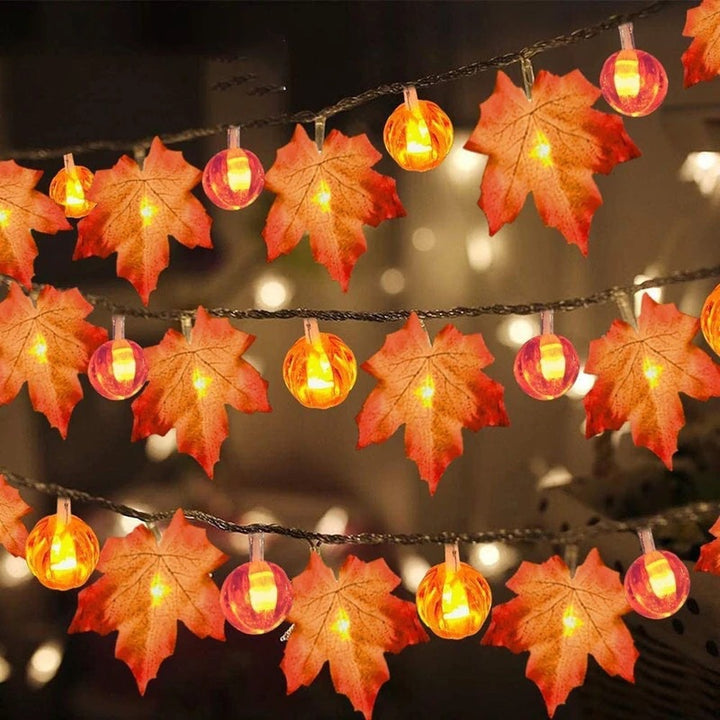 Halloween LED Kürbislaterne und Ahornblatt dekorative Lichterkette