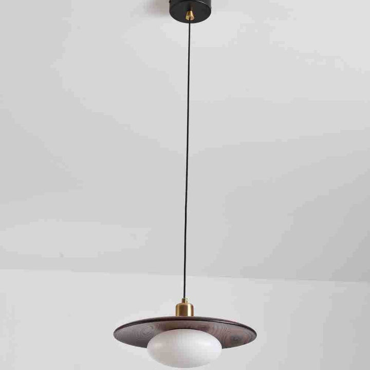 Moderne künstlerische Pendelleuchte