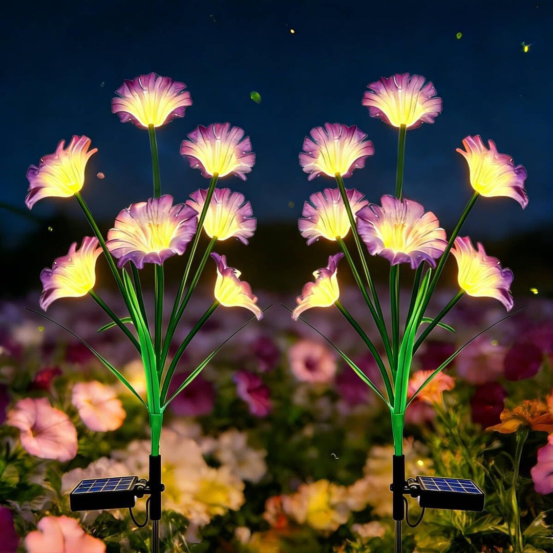 Solarbetriebene dekorative Gartenlichter