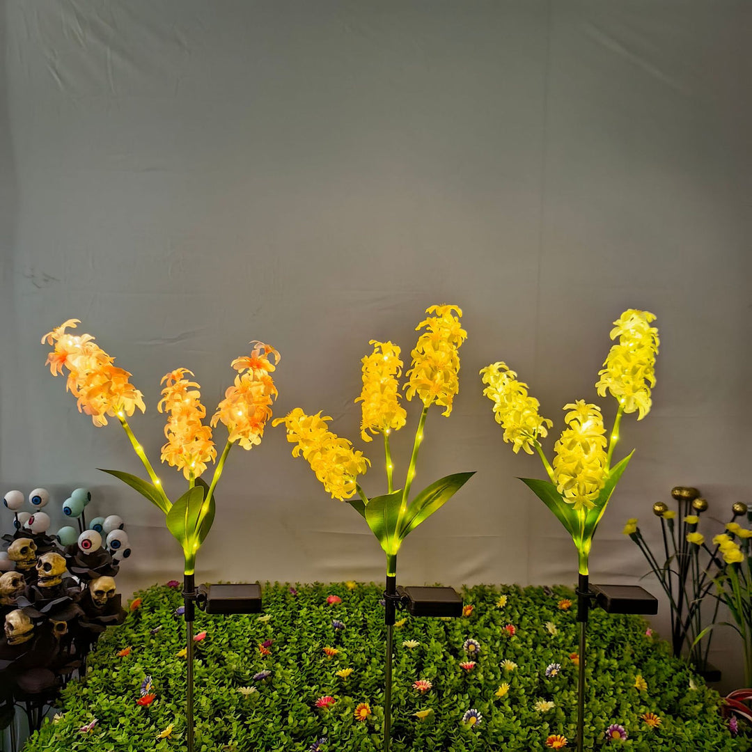 Dekorative Solar-Orchideen