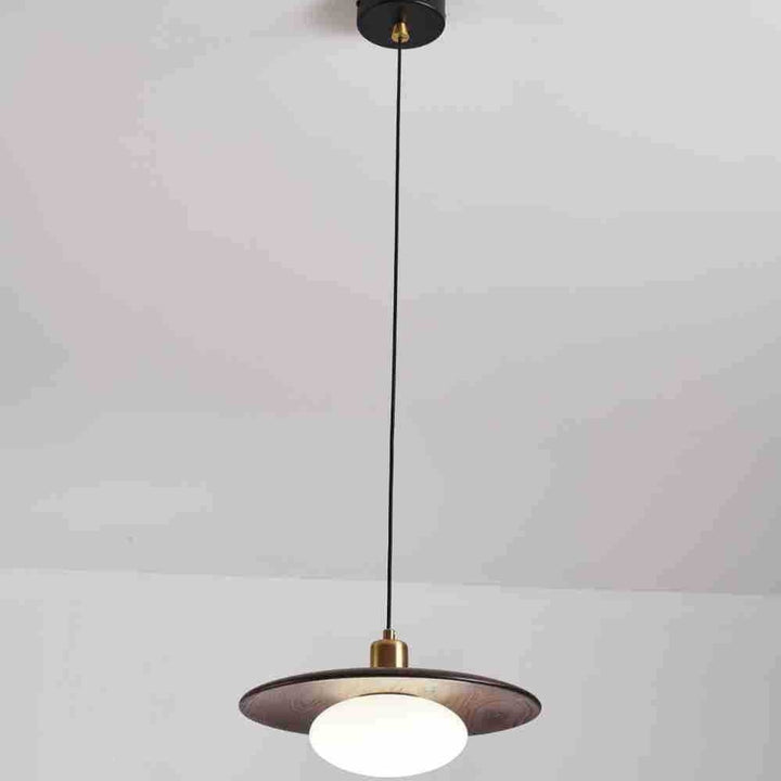 Moderne künstlerische Pendelleuchte