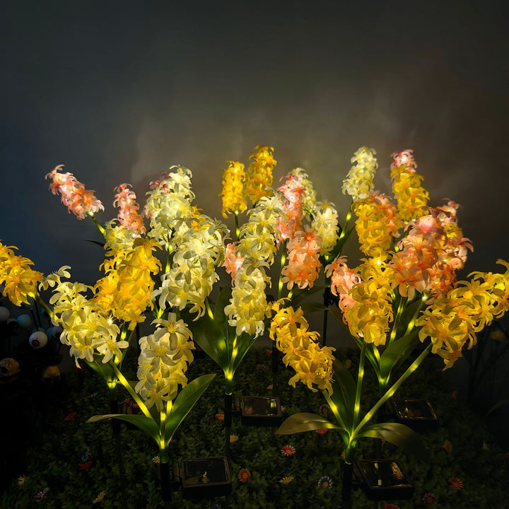 Dekorative Solar-Orchideen
