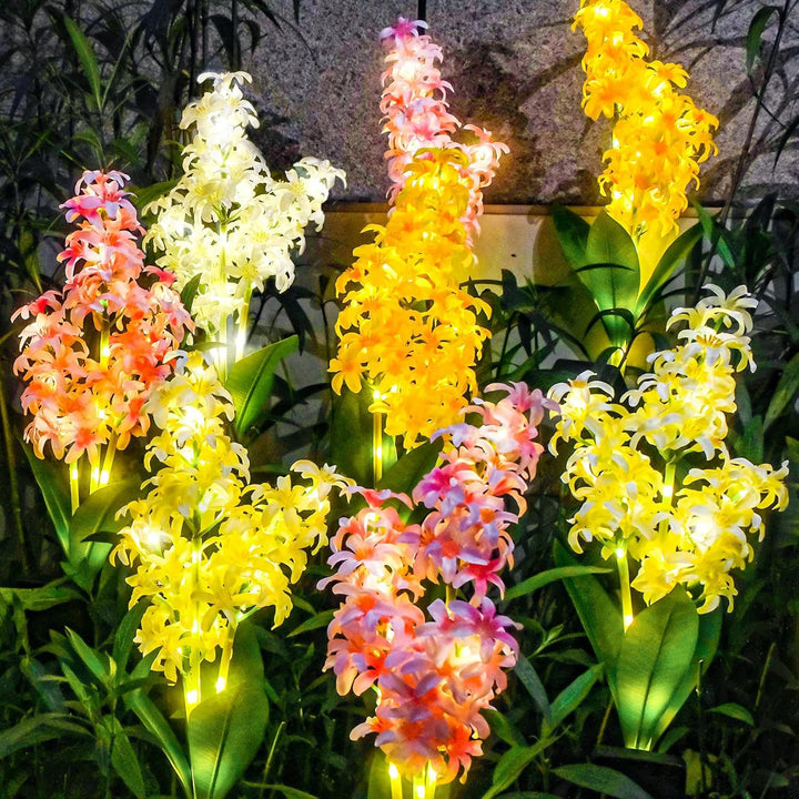 Dekorative Solar-Orchideen