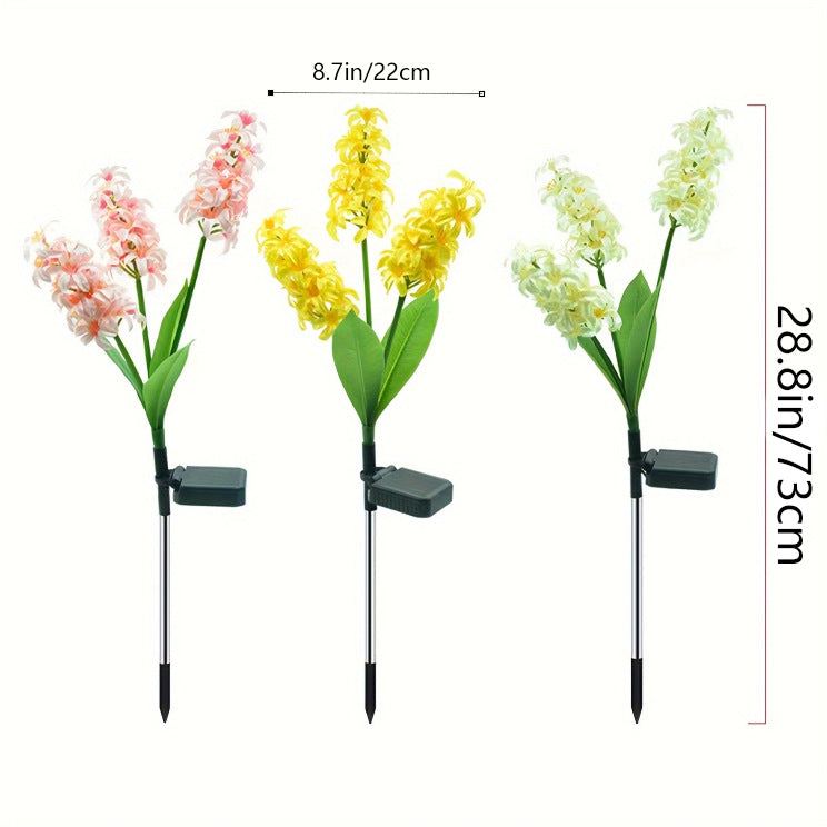 Dekorative Solar-Orchideen