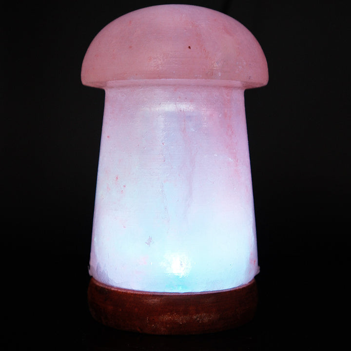 Himalayan Saltkristall-Sphärenlampe mit farbwechselnder LED und natürlicher Holzbasis