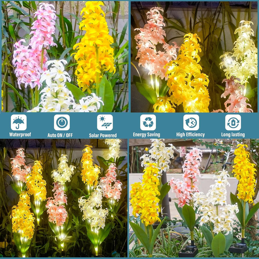 Dekorative Solar-Orchideen
