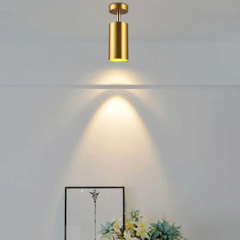 Moderne schwenkbare LED-Deckenleuchte in Gold – Verstellbare Beleuchtung für Wohn- und Arbeitsbereiche