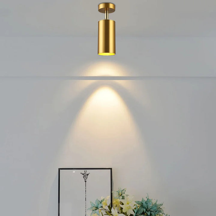 Moderne schwenkbare LED-Deckenleuchte in Gold – Verstellbare Beleuchtung für Wohn- und Arbeitsbereiche