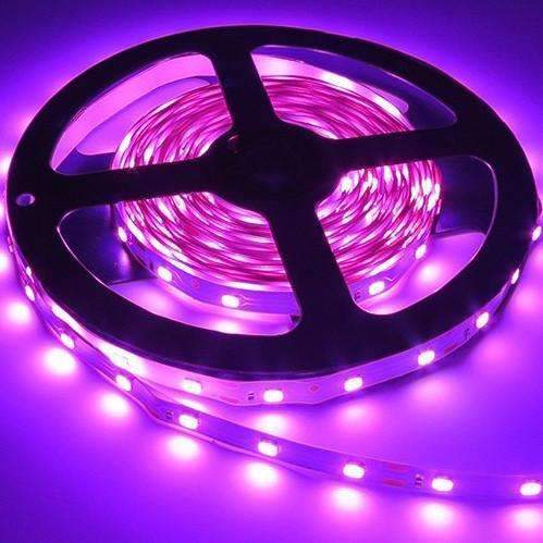 3528 LED-Strips Licht 12V 5M 300 Leds - Stellen Sie sicher, dass das Detail perfekt ist